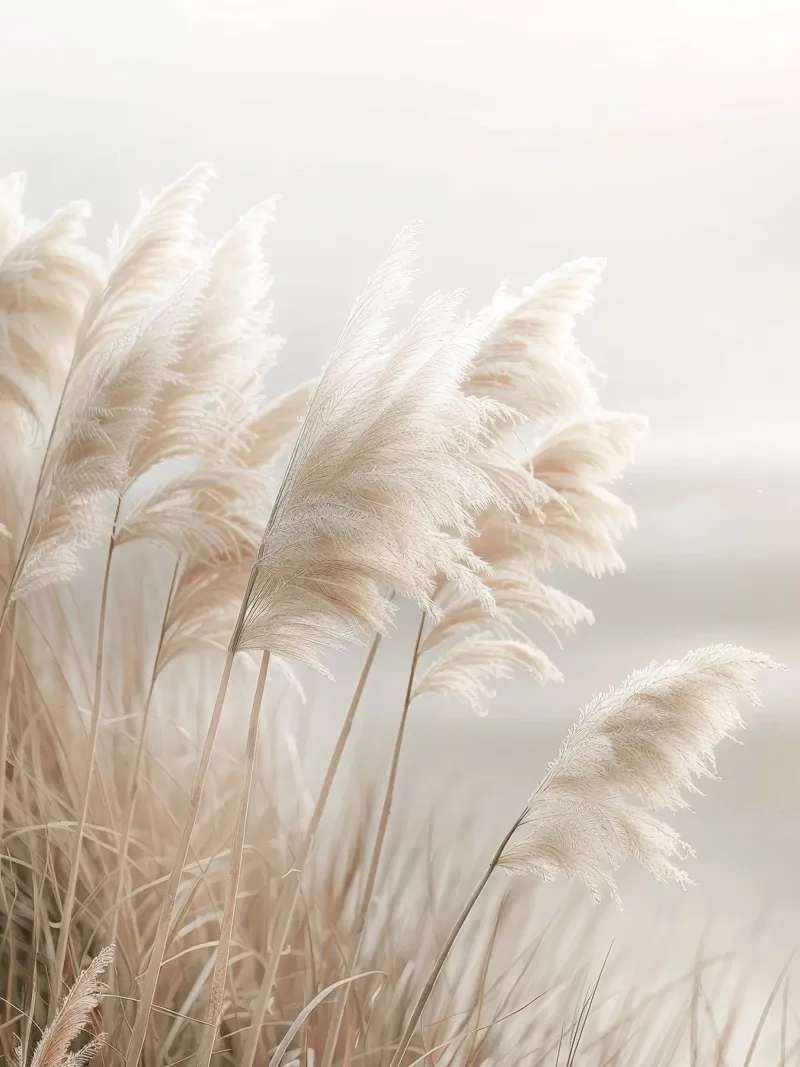 Poesia in riva al mare - Pittoresca erba della pampa poster con telaio in plastica da Melanie Viola