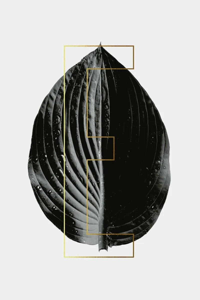ABC Plants - E poster con telaio in plastica da typealive