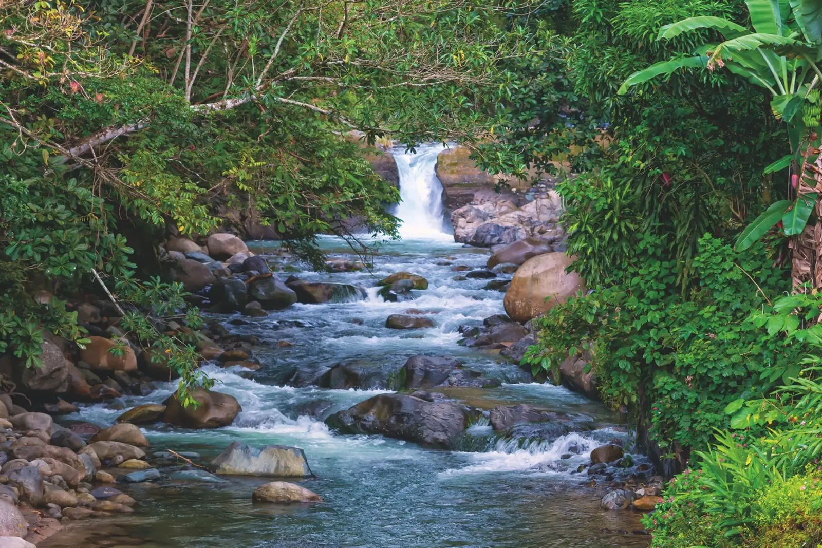 Un joyau caché de la nature - Une cascade sereine dans la jungle hahnemühle de Curious Collections by Marielle Leenders