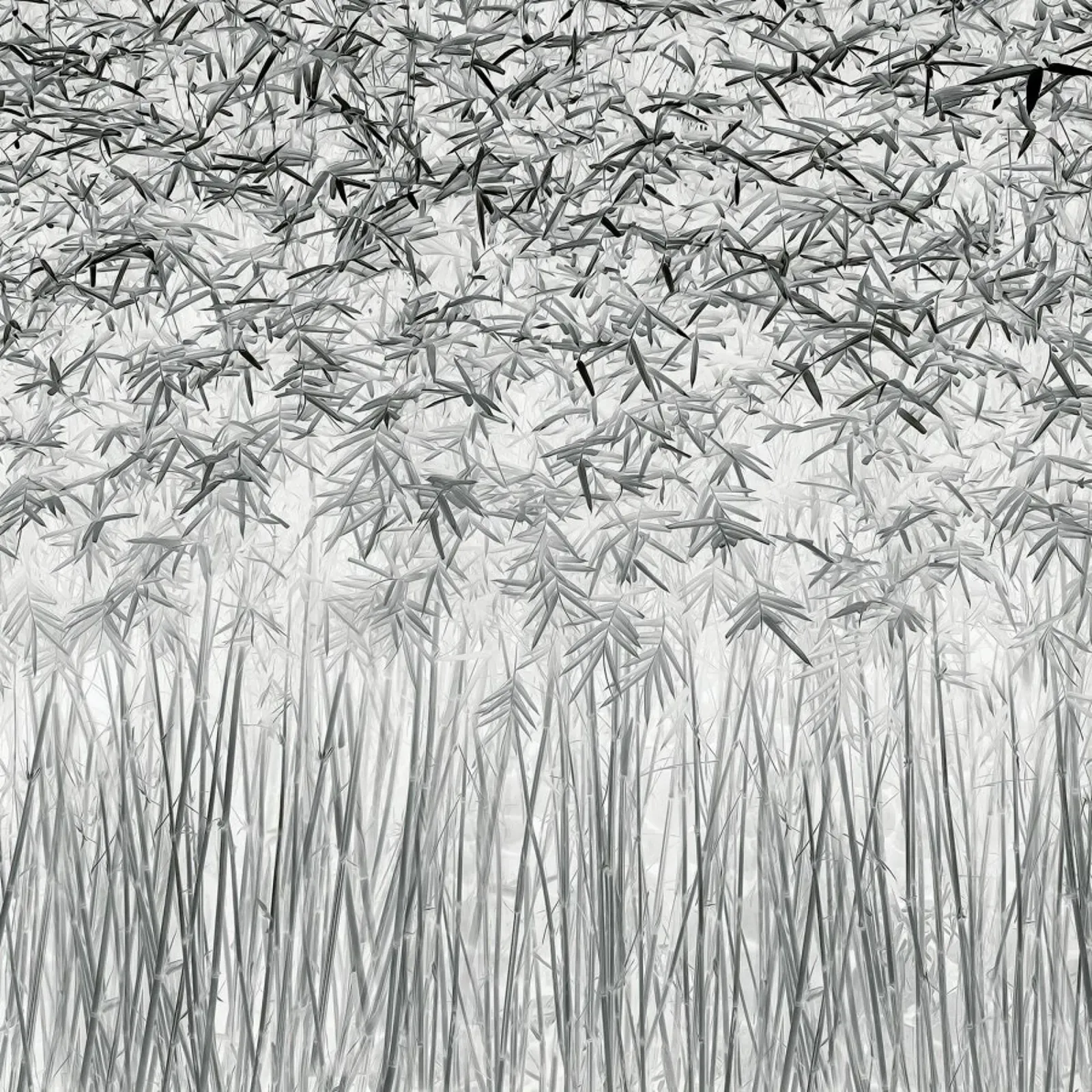 Parallelism - JEFFLIN LING alluminio dibond da Pictufy