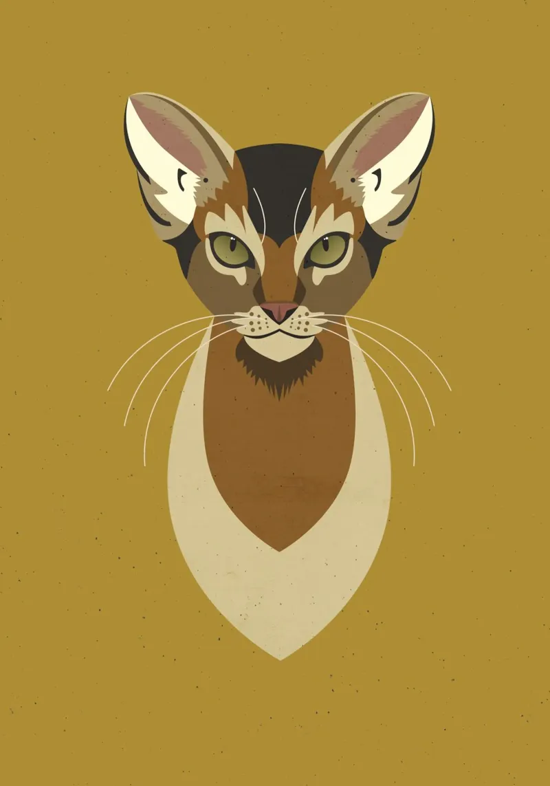 Burma Cat plexiglass da DARIA IVANOVNA