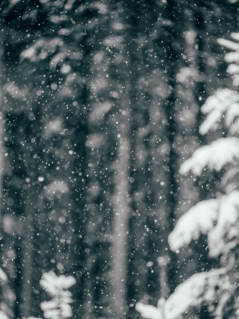 Zachte sneeuwval - winterse rust canvas van Whole©