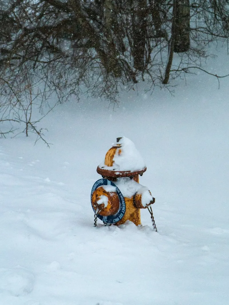 Idrante coperto di neve - Dettaglio invernale poster da Whole©
