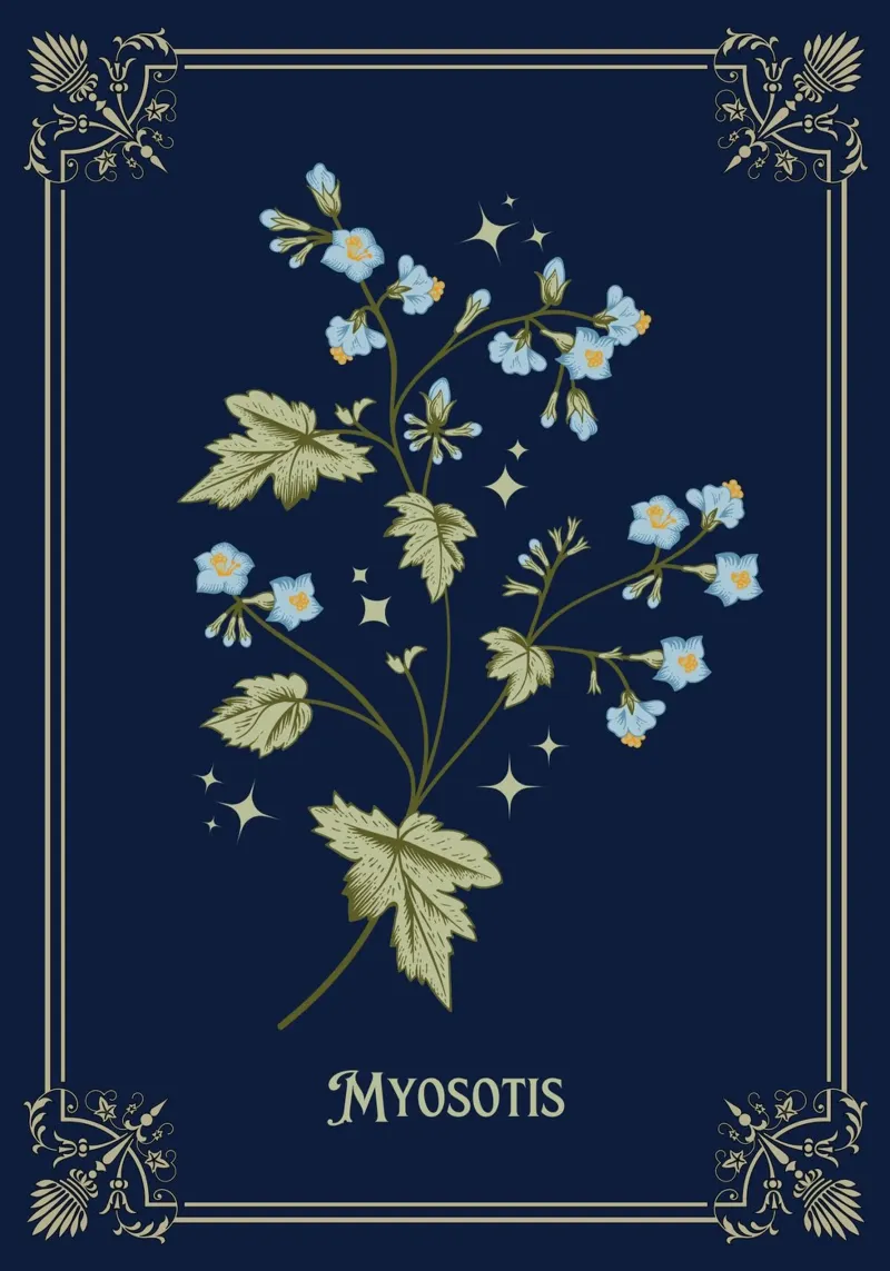 Myosotis - Vergissmeinnicht tela con Cornice a cassetta da Luna & Noctua
