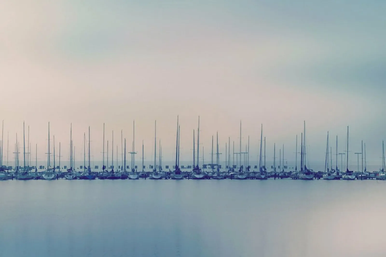 Sails pellicola backlit da Robin Delean