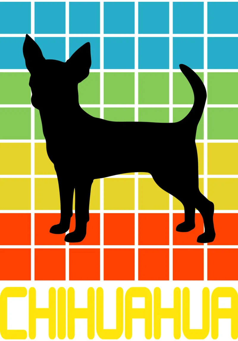 SQUARE RETRO CHIHUAHUA carta hahnemühle da ririedis