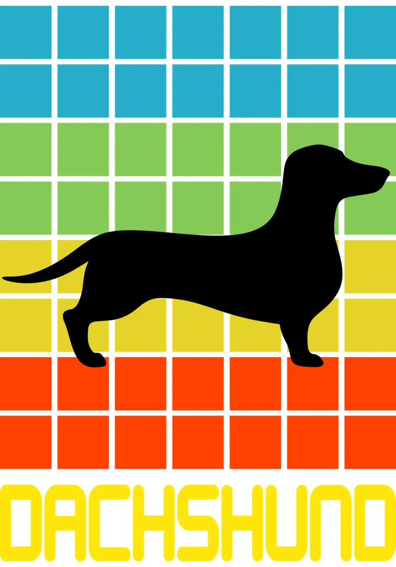 SQUARE RETRO DACHSHUND pellicola backlit da ririedis