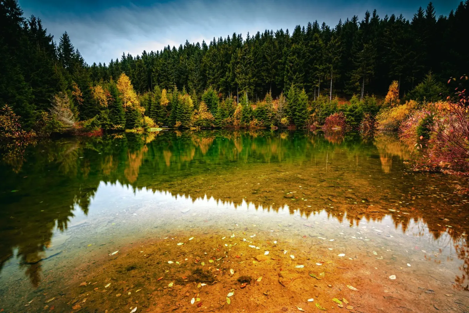 Kleiner See in Oberwiesenthal im Herbst pellicola backlit da Marcus Beckert | Fotografie