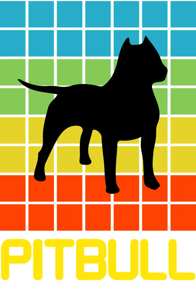 SQUARE RETRO PITBULL pellicola backlit da ririedis
