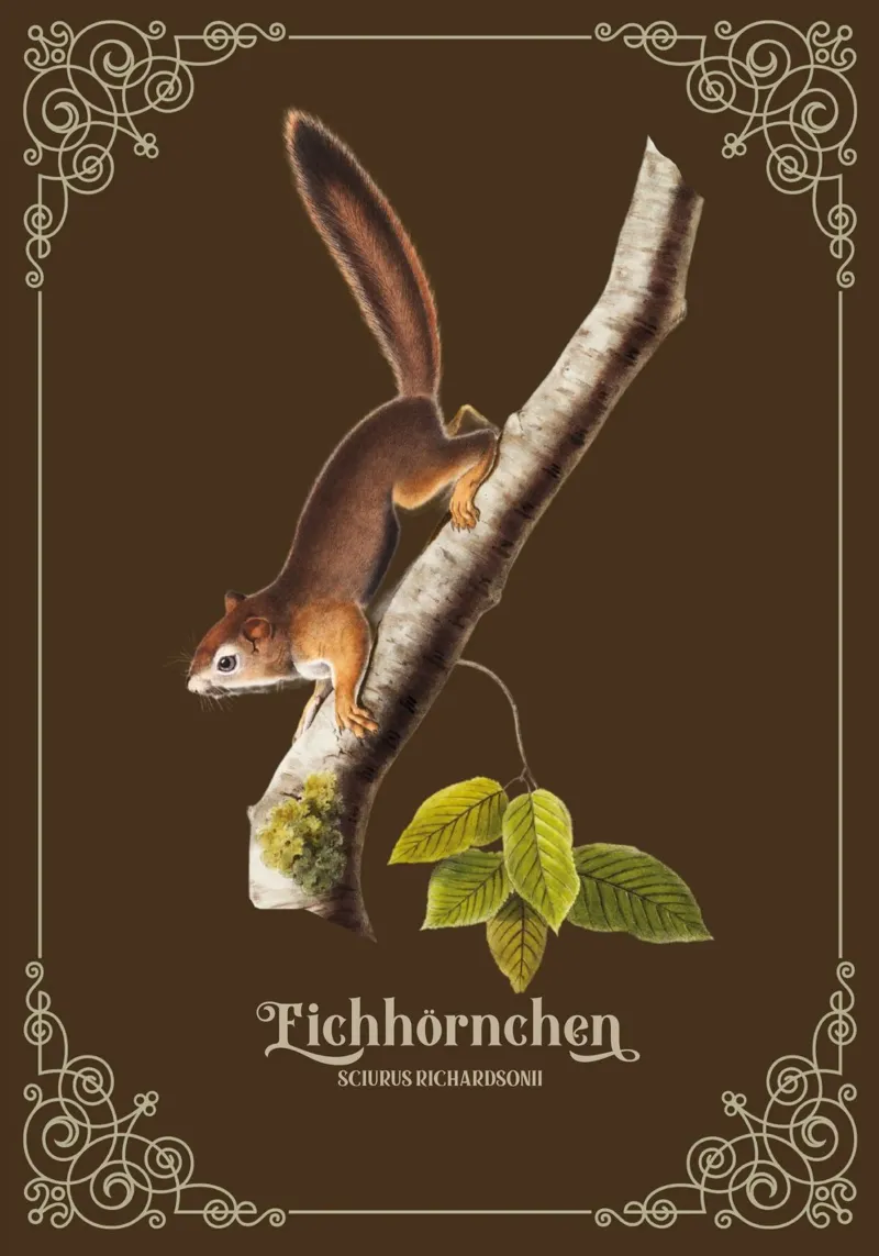 Eichhörnchen poster con telaio in alluminio da Luna & Noctua