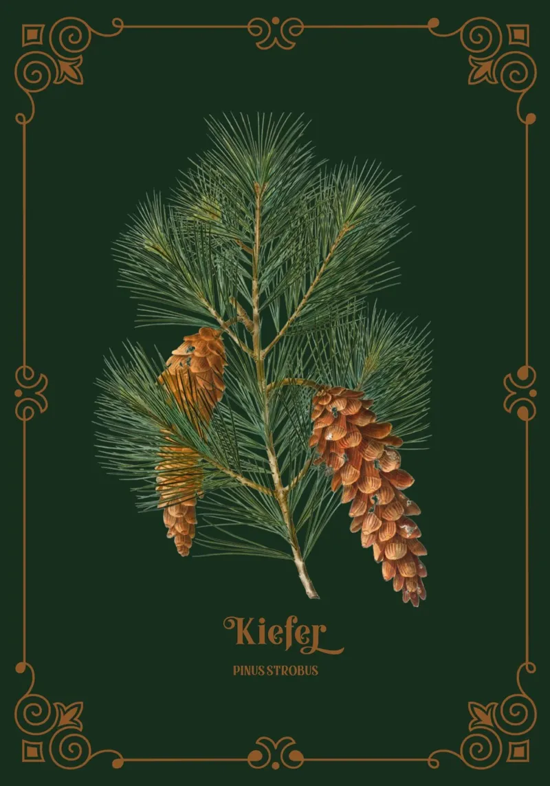 Kiefer poster da Luna & Noctua