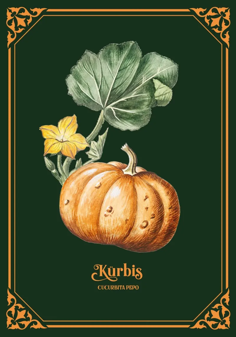 Kürbis tela con Cornice a cassetta da Luna & Noctua