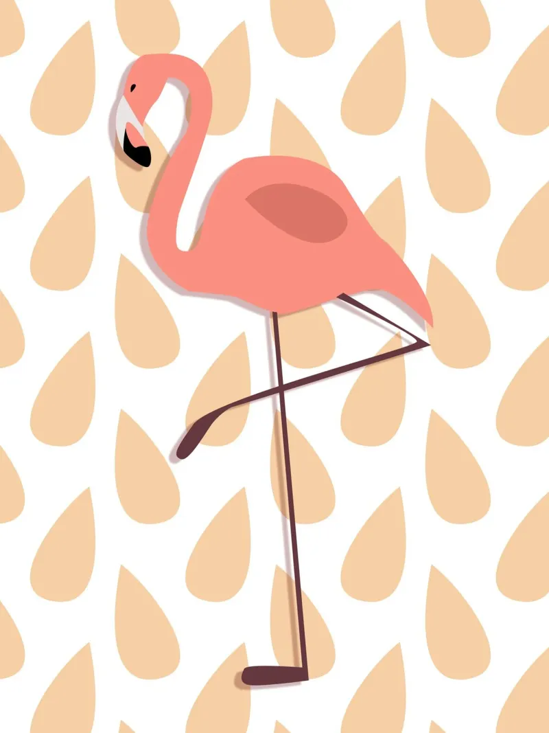 Pink Flamino Illustration pellicola backlit da IndigoBird