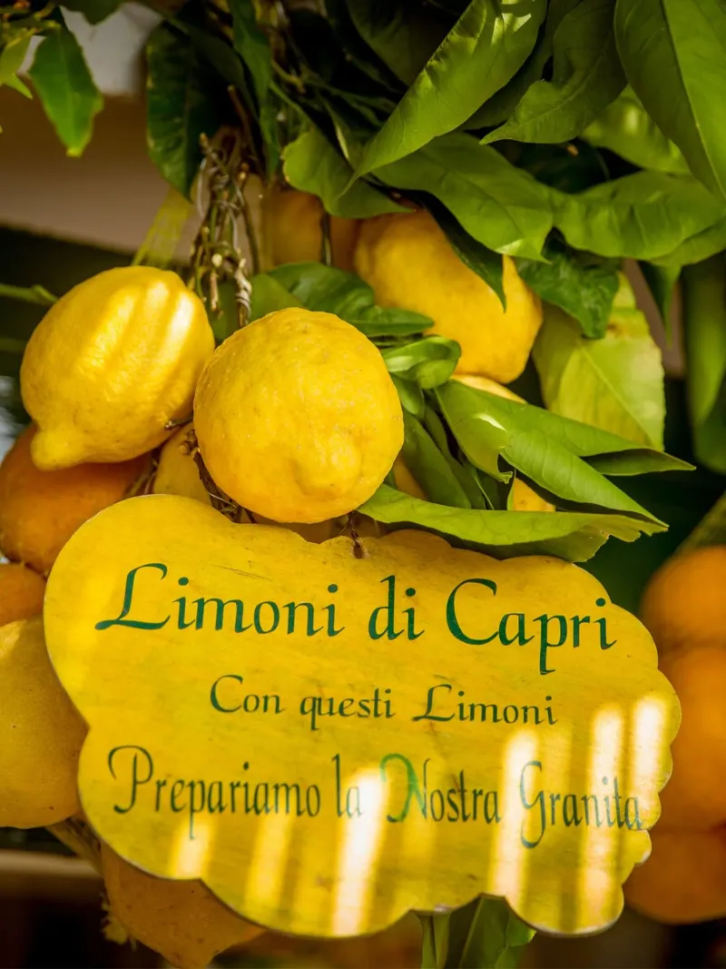 Lemon Print, Italian Wall Art, lemon poster, la dolce vita poster con telaio in legno da TheTravelClub