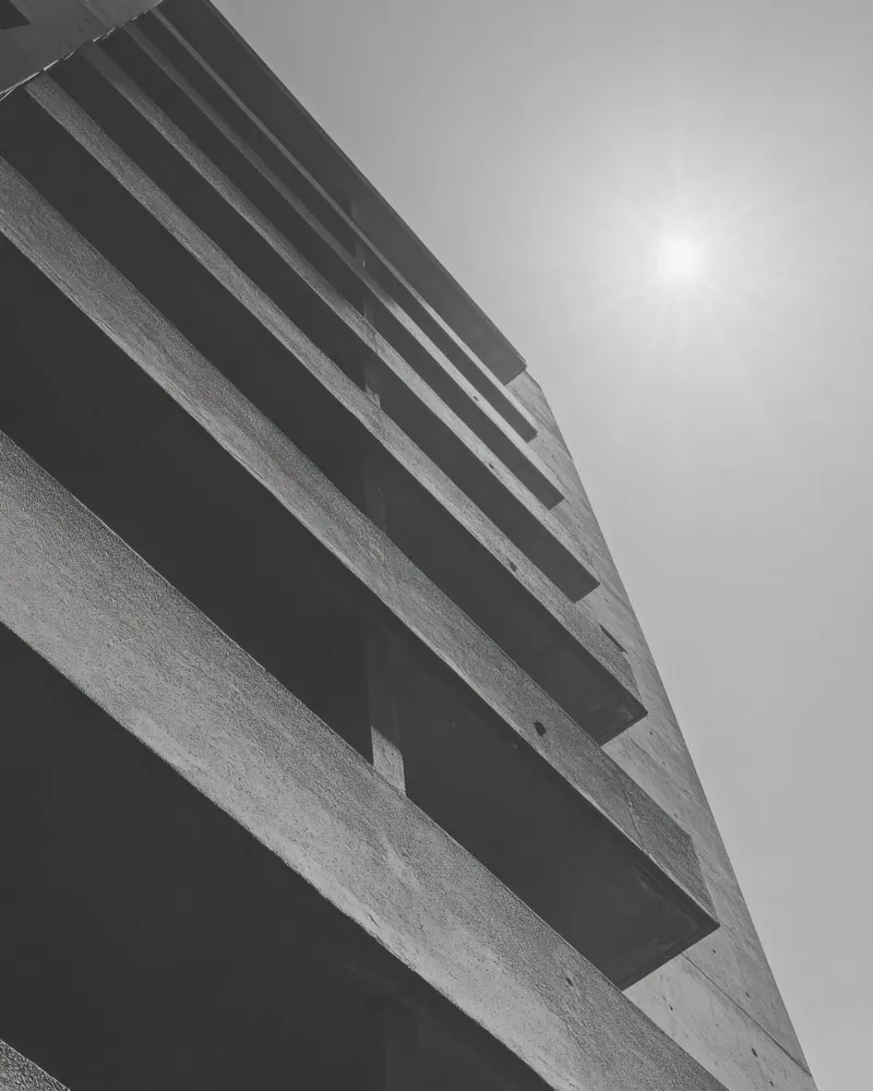 Geometria verticale pellicola backlit da Black & White