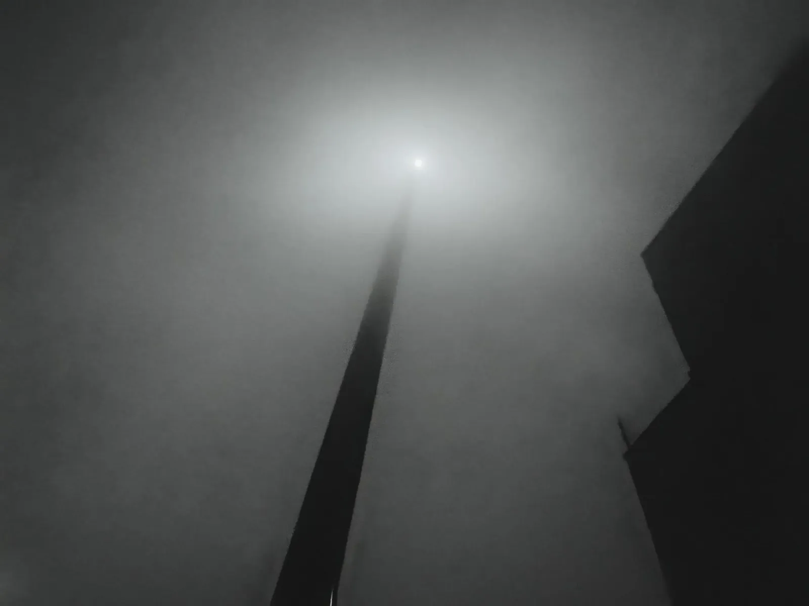 Nebbia mistica pellicola backlit da Black & White