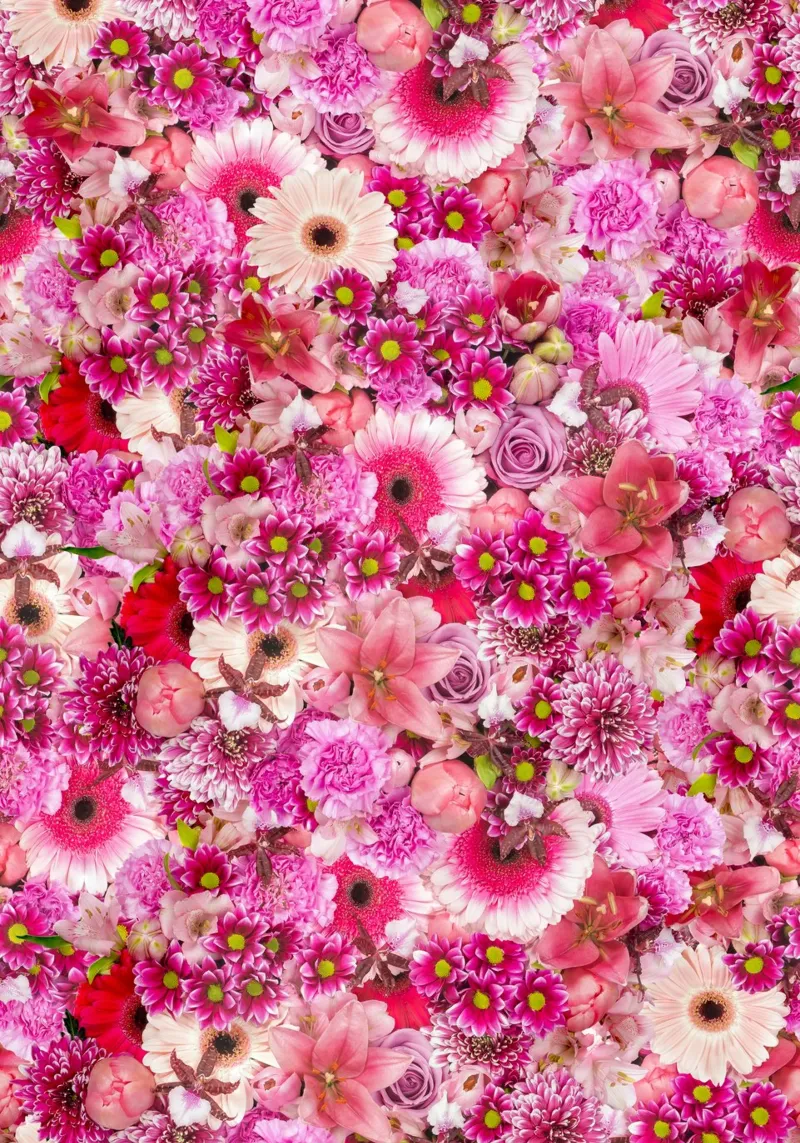Pink Bloom Symphony - Florales Design aus rosa Blumen Alu-Dibond von Curious Collections by Marielle Leenders