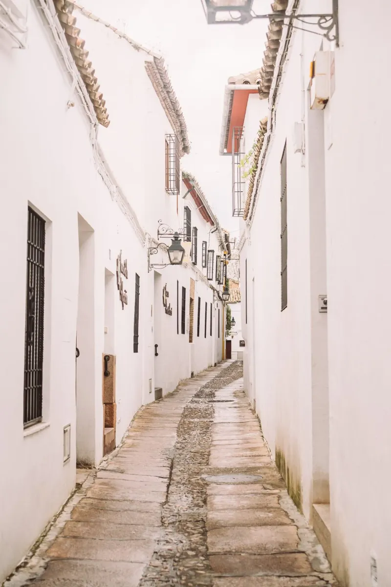 Old Town of Cordoba pellicola backlit da patiphotography