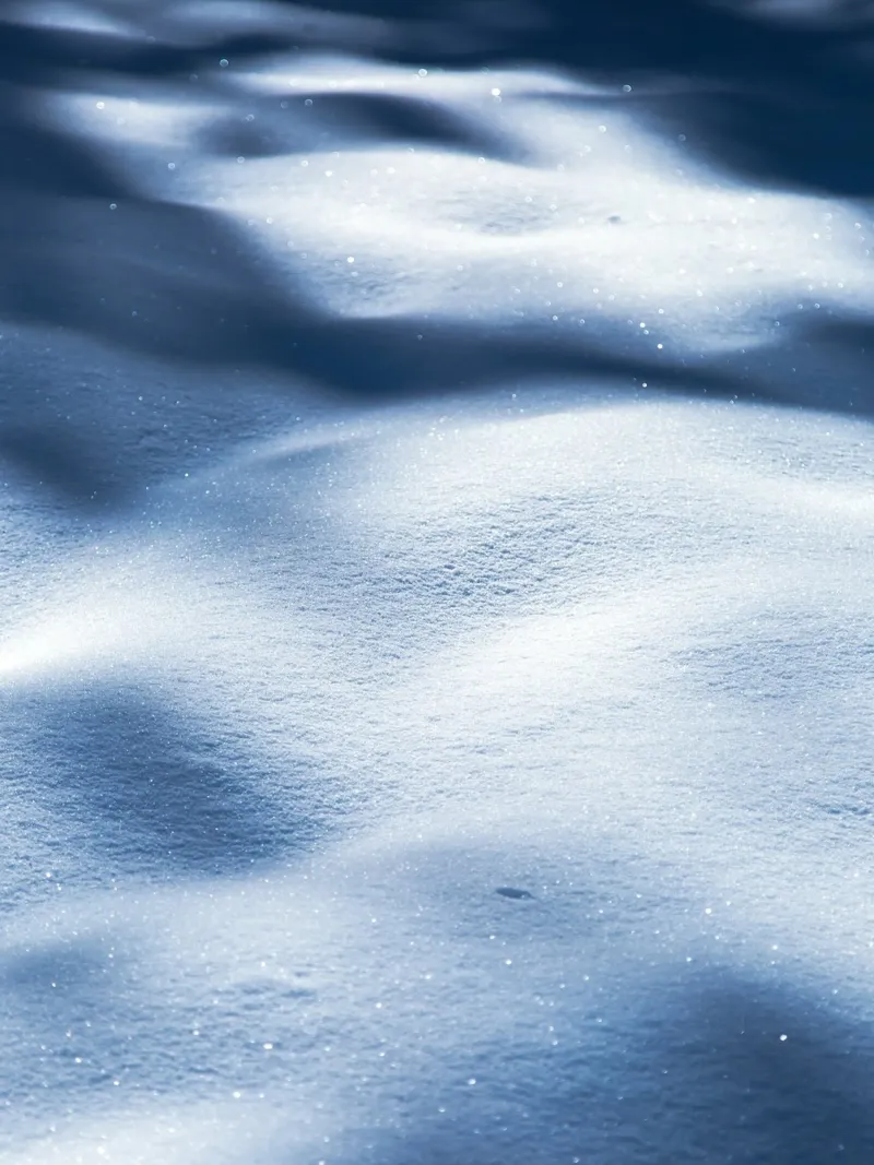 Neve scintillante - tranquillità invernale pellicola backlit da Whole©