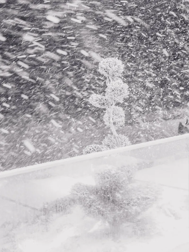 Schneesturm-Kunst – Winterliche Dynamik Poster von Whole©