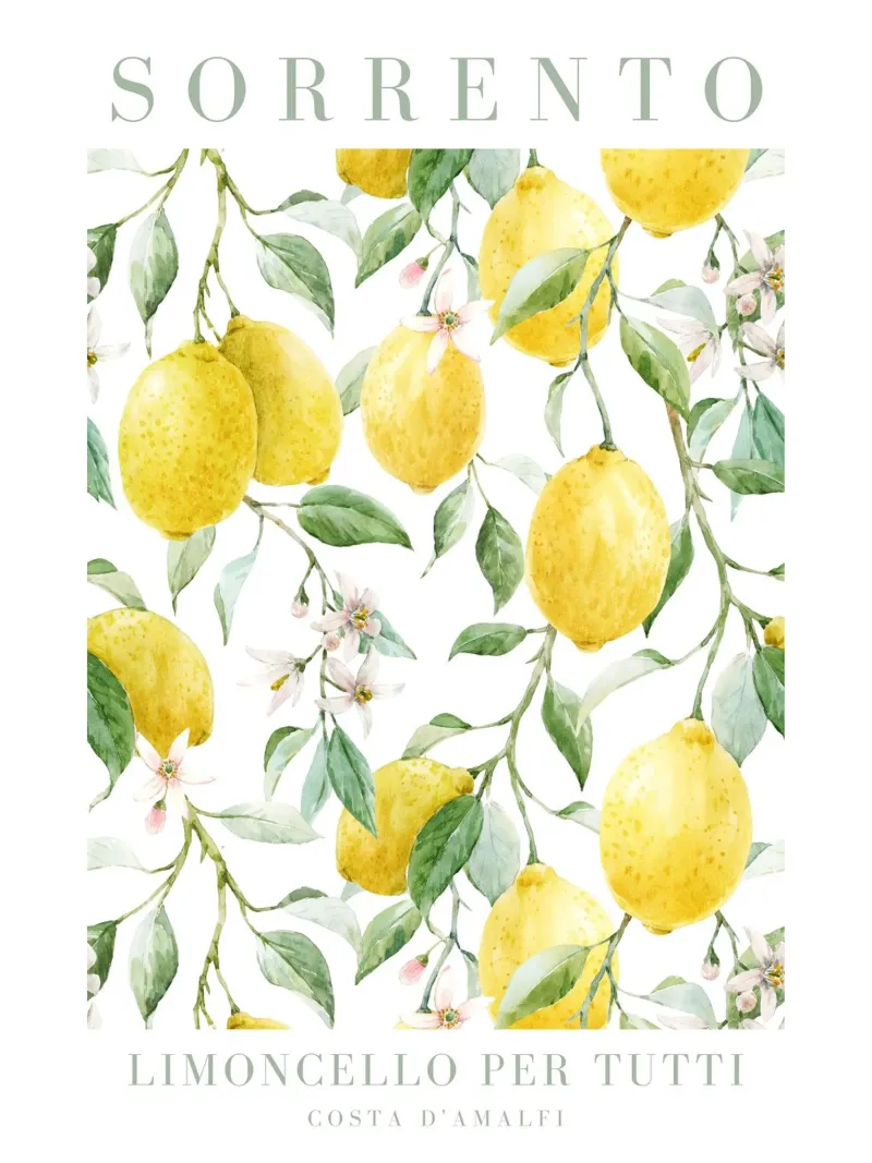 Lemon Sorrento Limoncello Per Tutti carta hahnemühle da Bella Studio