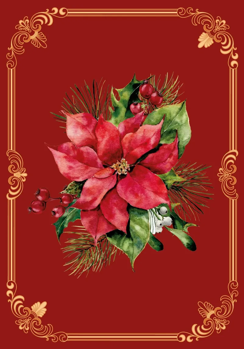 Weihnachtsstern poster with wooden frame by Luna & Noctua