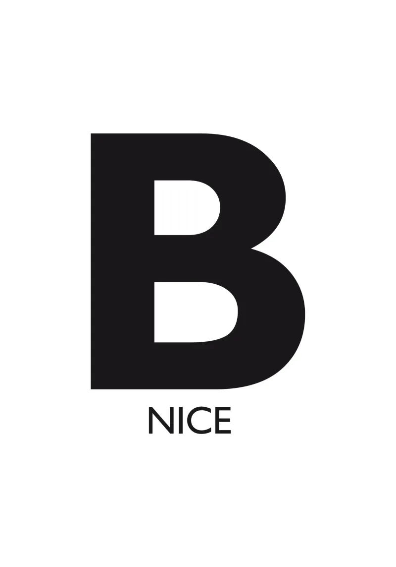 B NICE carta hahnemühle da Meridian Design