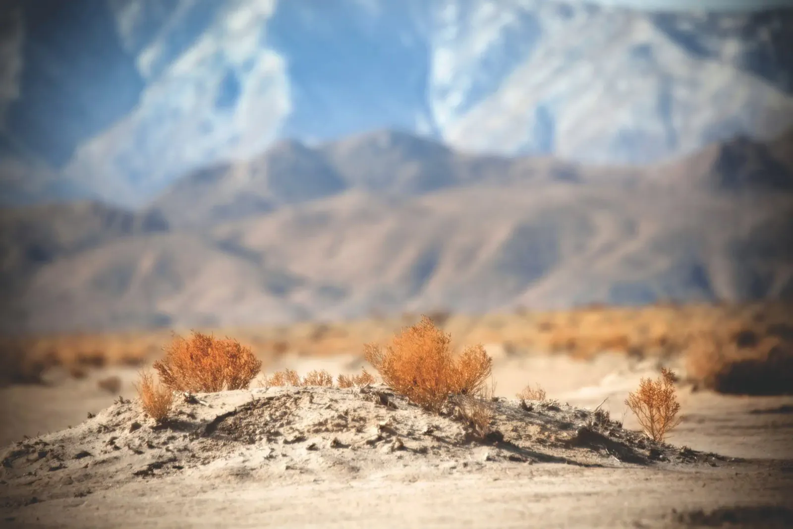 Apfeltal Wüste Leinwand mit Schattenfugenrahmen von Dave Hare Photography