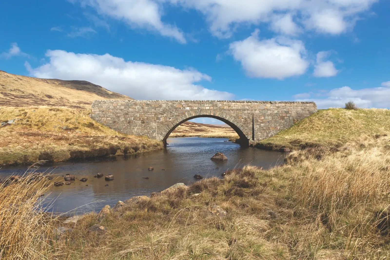Ponte di Highland pellicola backlit da Dave Hare Photography