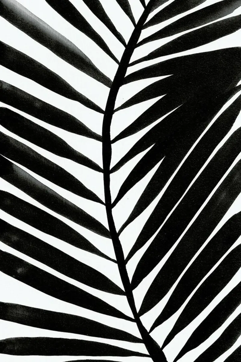 Palm II pellicola backlit da Kristen Polsinelli