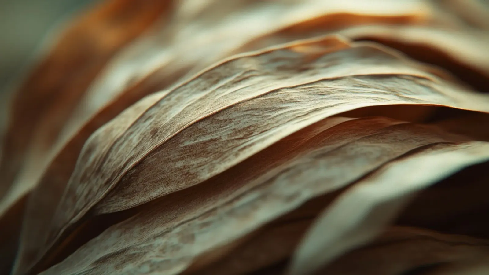 Dry Leafs alluminio dibond da treechild