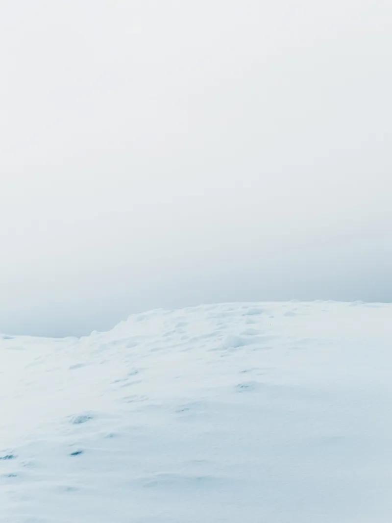 Minimalist winter landscape design canvas by Whole©