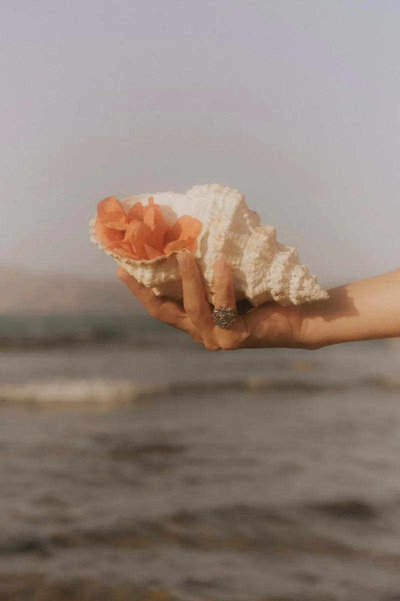 Shell in Bloom plexiglass da dharmanadia