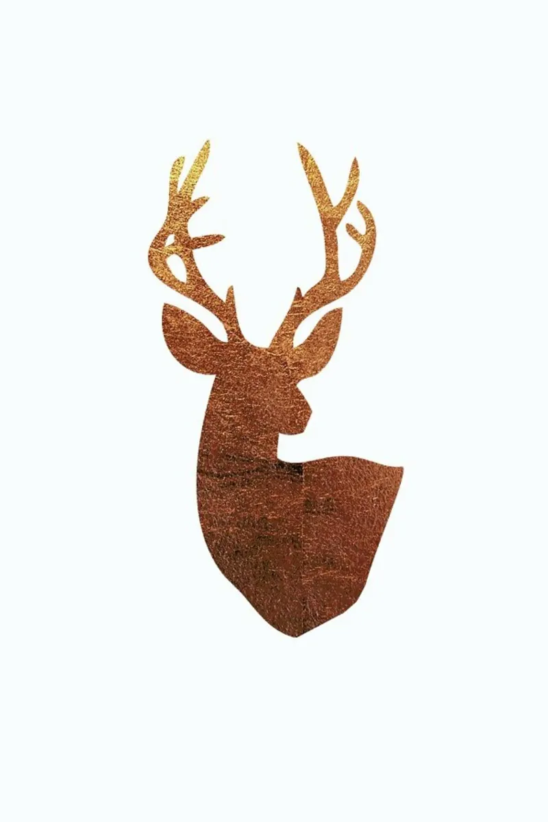 Hirsch Kupfer pellicola backlit da XOXO Arte