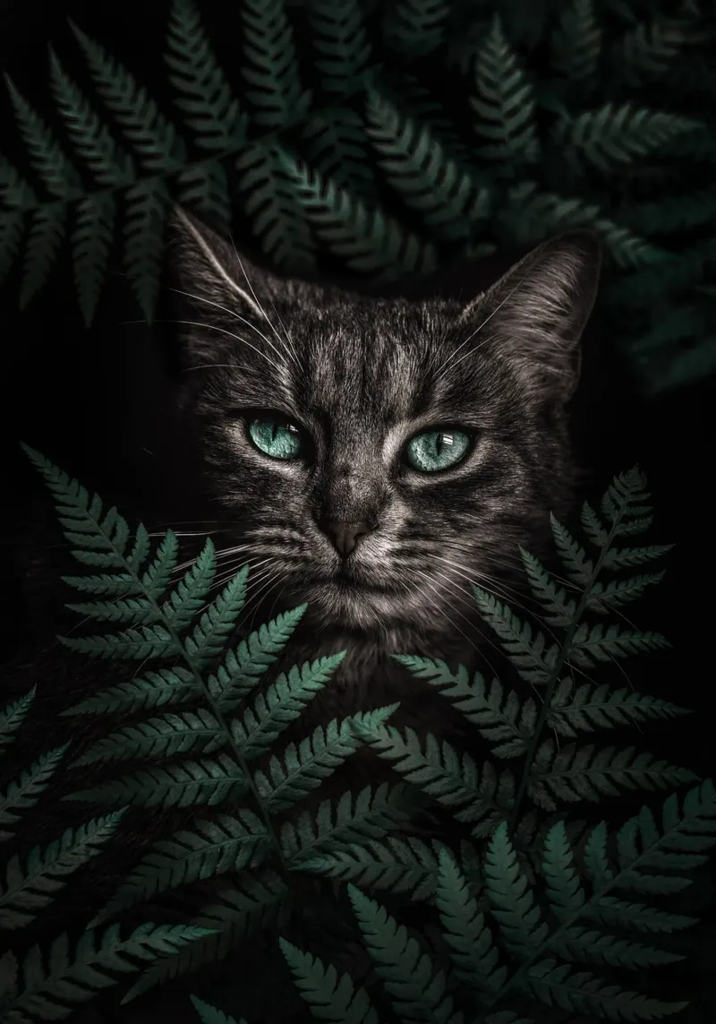 Gatto dagli occhi verdi con felci pellicola backlit da arizrab