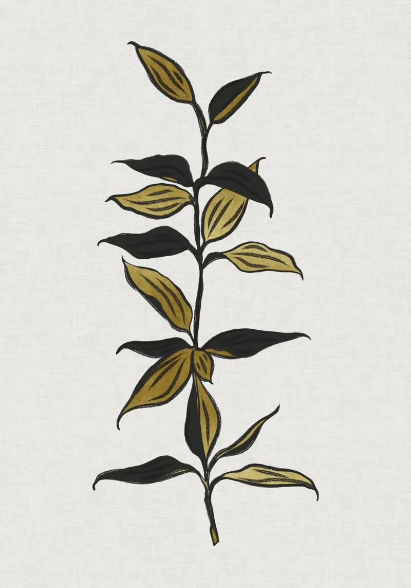 Stampa botanica minimalista di bambù - Decorazione zen moderna poster da kookiepixel