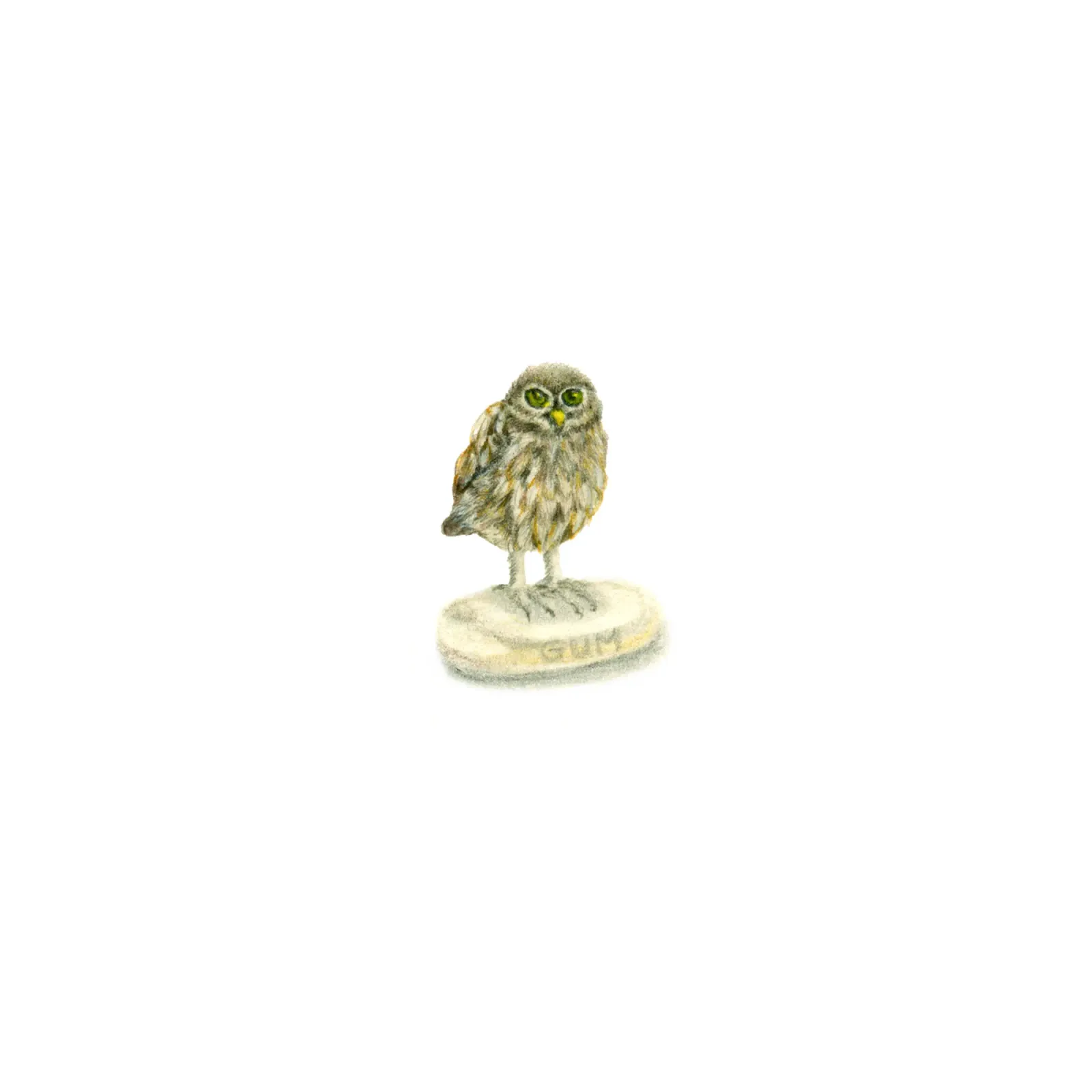 Tiny Owl Illustration: Watercolor Art on Eraser poster with aluminum frame by Studio Patruschka