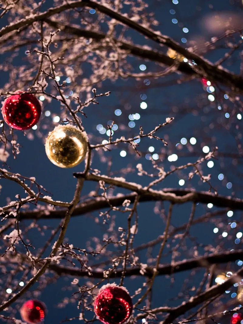 Luci di Natale pellicola backlit da Whole©