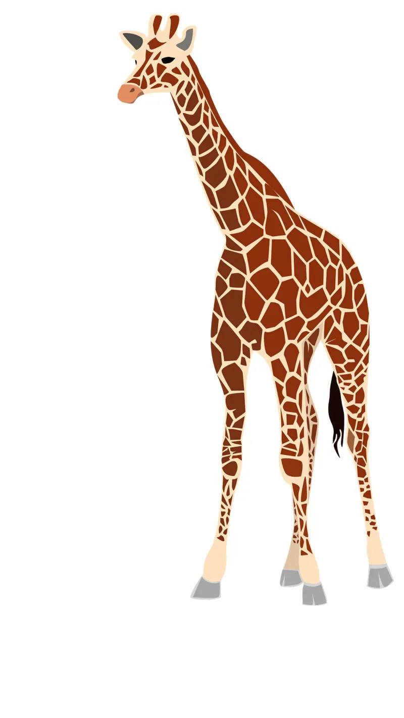 giraffe poster met houten frame van Alina