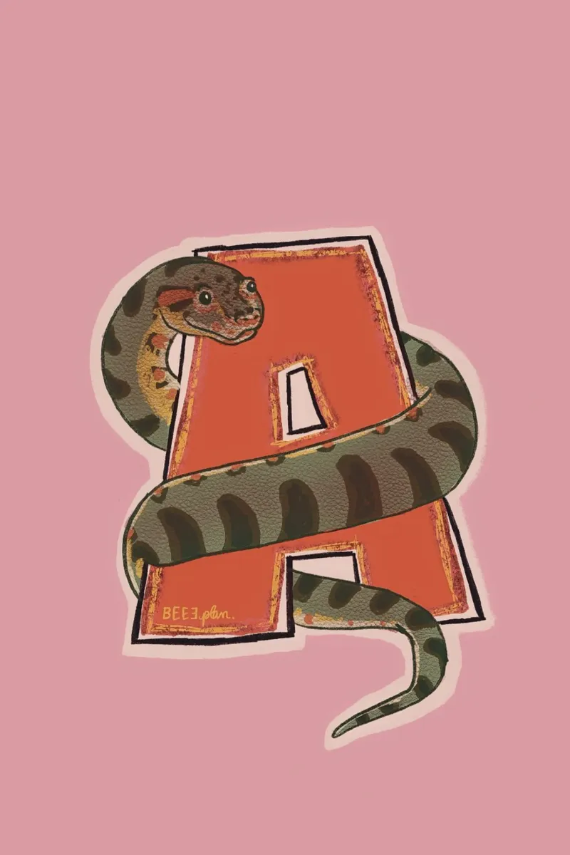 Anakonda, Anaconda alu-dibond by Beeeplan