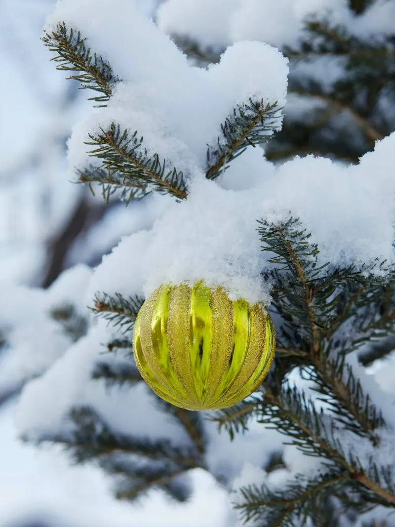 Gingillo di Natale d'oro - Magia invernale delle feste poster con telaio in legno da Whole©
