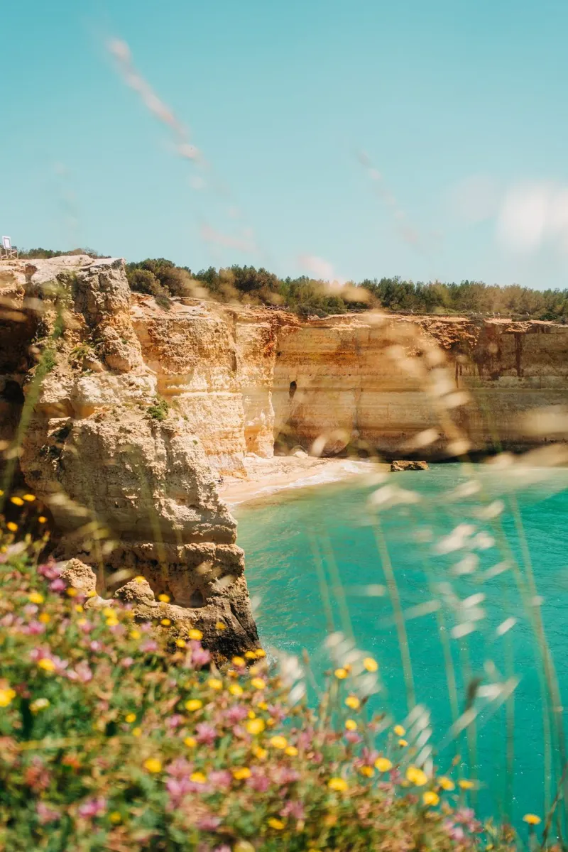 Costa dell'Algarve - fiori e rocce sopra il mare blu turchese carta hahnemühle da Bold and Retro