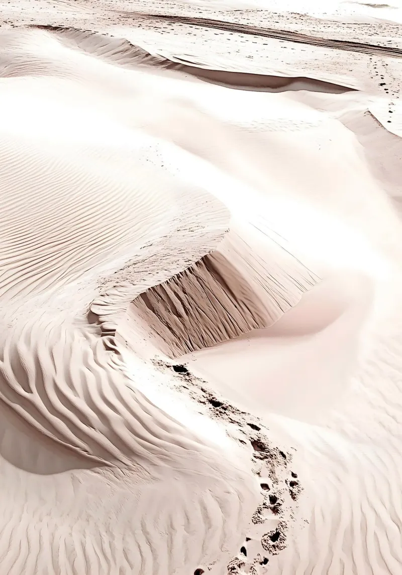 Dune di sabbia sulla spiaggia - Collezione La Plage pellicola backlit da Conde Arte
