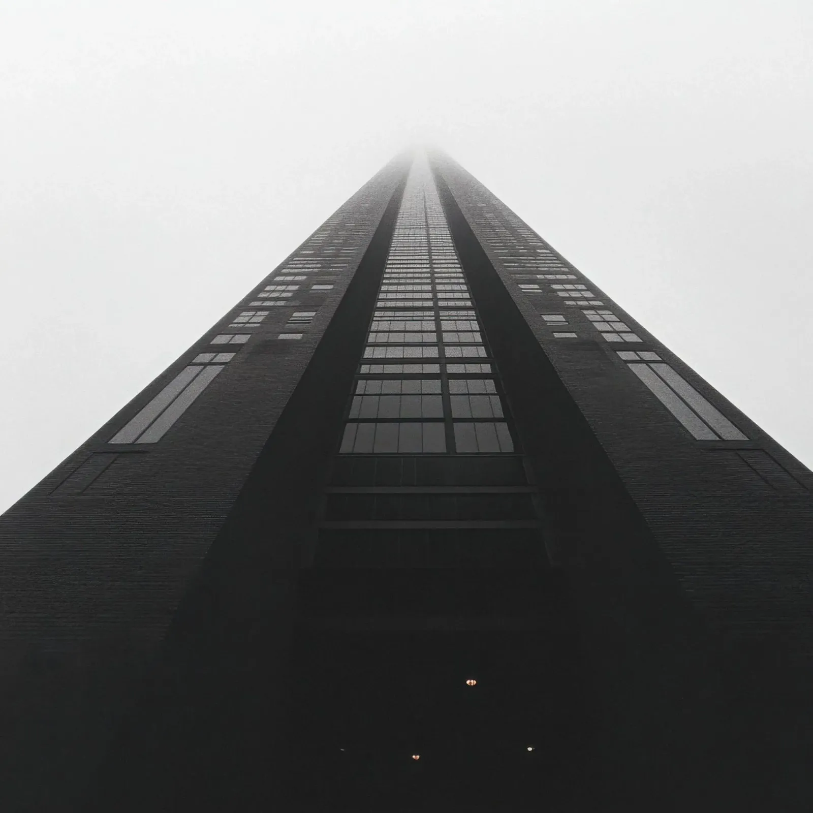 Perspectief forex-plaat van Black & White