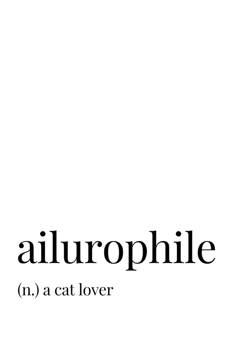 Ailurophile meaning canvas with Floater frame by Paigaam Studio