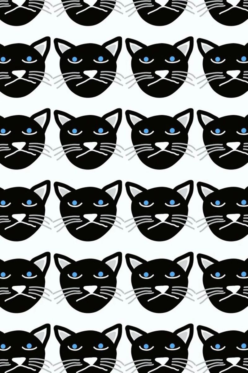 Grumpy Cat pellicola backlit da Vasare Nar