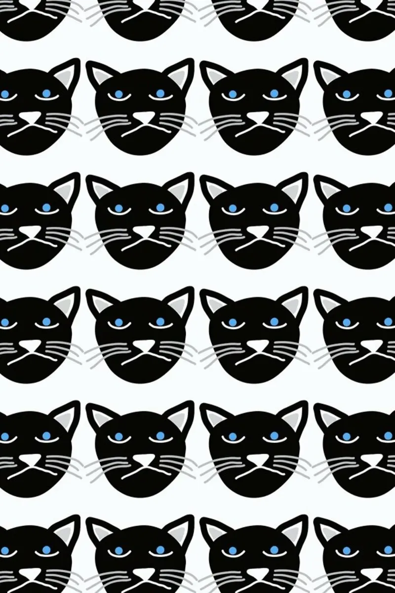 Grumpy Cat carta hahnemühle da Vasare Nar