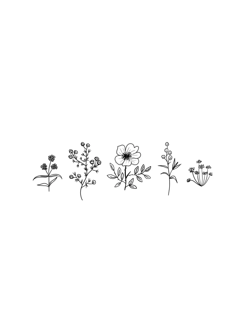 5 Line Art Wildflowers pellicola backlit da anisillustration
