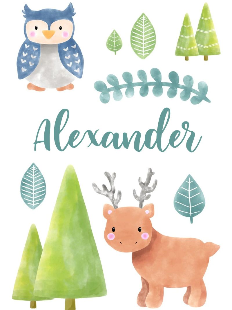 Namensbild Wald poster by BAINAI KIDS