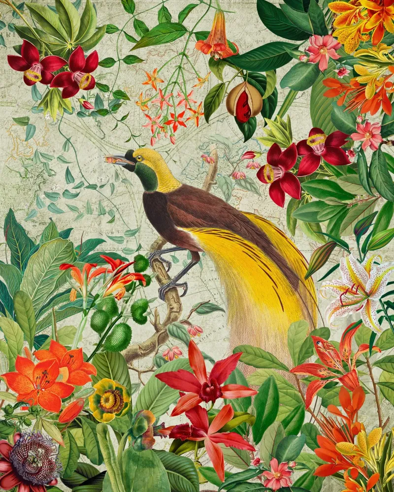 Fuga botanica pellicola backlit da Vintage World - Uta Naumann